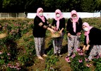 Dağkadılı kadınlara ‘ekinezya’ desteği