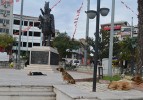 Başıboş köpekler Atatürk Anıtı’nı mesken tuttu