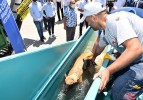 Karacabey’e koyun yıkama ve dezenfeksiyon havuzu