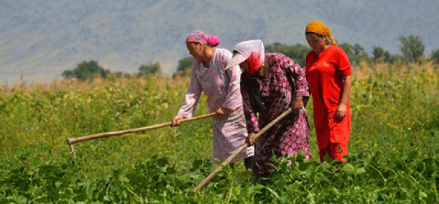 “Kadın çiftçiler üretime omuz veriyor”