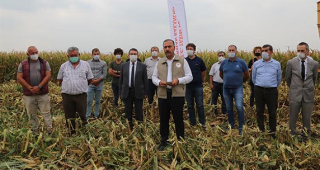 Türkiye’nin tohumluk mısır üretimi Bursa’dan!