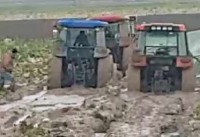 Karacabey’de yağmur çiftçiyi fena vurdu