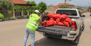 Karacabeyli-çiftçi-100-ton-soğan-bağışladı-3