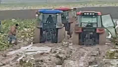 Karacabey’de yağmur çiftçiyi fena vurdu