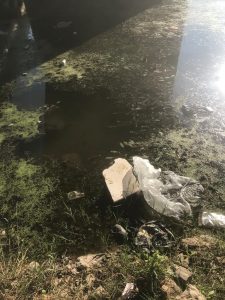 Canbalı Deresi ve etrafı pislikten geçilmiyor-2