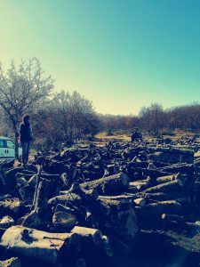 Bir kadının orman sektöründeki başarısı-3