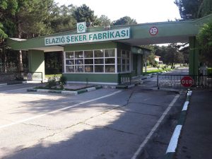 Susurluk-Şeker-Fabrikası-şekere-doydu-3