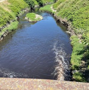 NİLÜFER-ZEHİR-AKIYOR-4