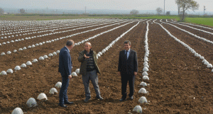 Bitkisel-üretim-faaliyetleri-sürüyor-2