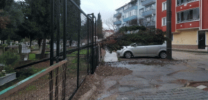 Fırtına-ağaçları-devirdi-3